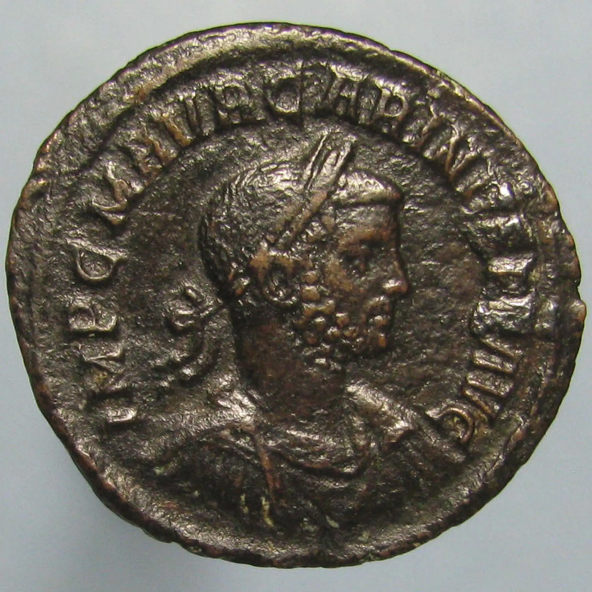 A-Very-Rare-Carinus-Pax-Avgg-As